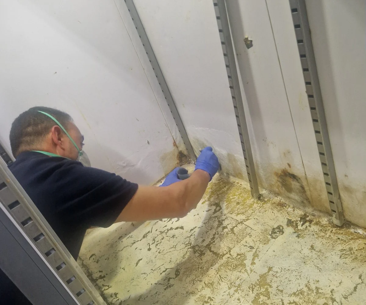 Tècnic amb guants i ulleres de protecció retirant el greix acumulat en una campana extractora industrial.